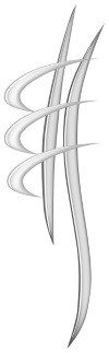 Logo de la Chiropraxie